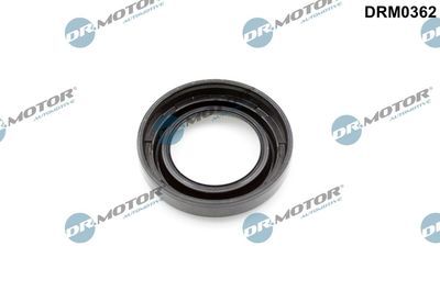 INEL ETANSARE LOCAS BUJIE Dr.Motor Automotive DRM0362