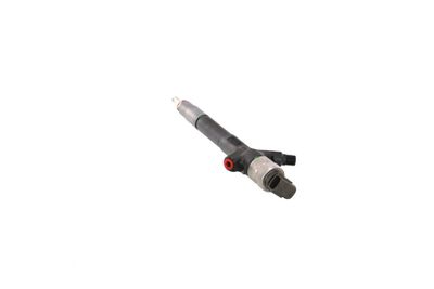 INJECTOR REMANTE 002003002030R 25