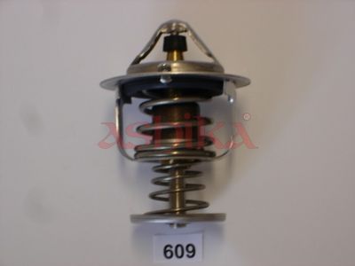 Thermostat, Kühlmittel
