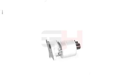 SUPAPA EGR GH GH733747 35