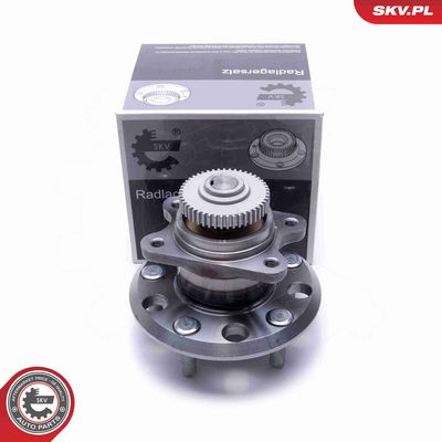 SET RULMENT ROATA ESEN SKV 29SKV486