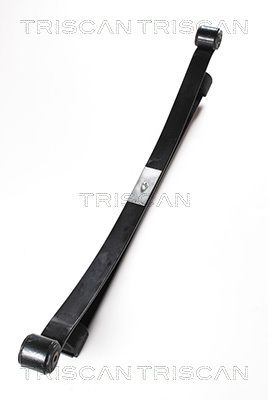 TRISCAN Federnpaket