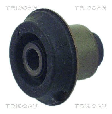 Łożyskowanie, korpus osi TRISCAN 8500 28810