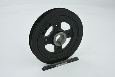 FULIE CUREA ARBORE COTIT FEBEST TDS003 48