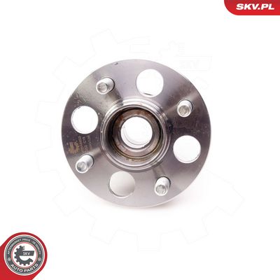 Rato guolio komplektas