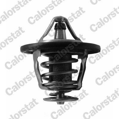 Thermostat, coolant TH7421.82J