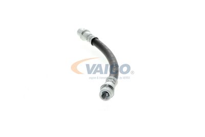 FURTUN FRANA VAICO V104136 22