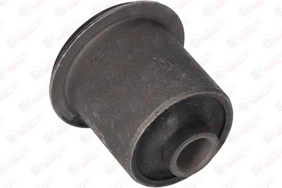 SUPORT TRAPEZ BIRTH 2929 3