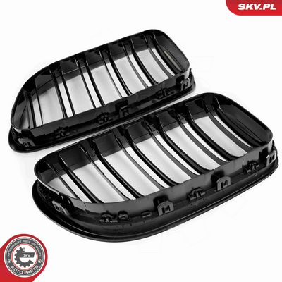 GRILA RADIATOR ESEN SKV 66SKV206 5