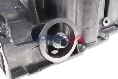 BAIE ULEI BOGAP A1919117 4