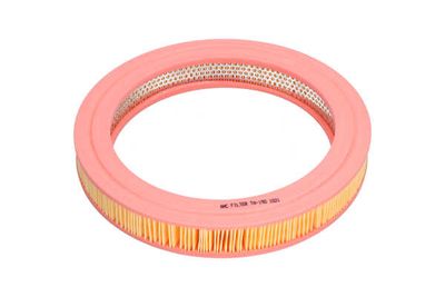 FILTRU AER AMC Filter TA190 27