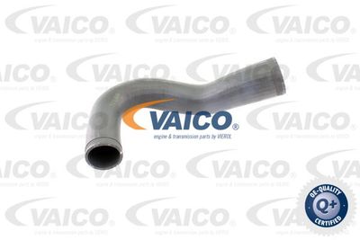 Трубка нагнетаемого воздуха VAICO V40-1365 для CHEVROLET MALIBU