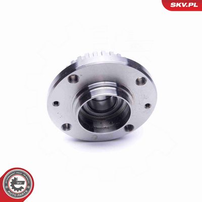 SET RULMENT ROATA ESEN SKV 29SKV197 3