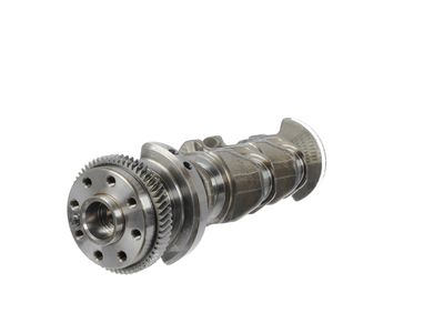 ARBORE COTIT ET ENGINETEAM HK0183 15