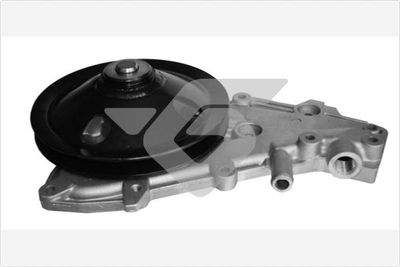 HUTCHINSON WP119 Помпа (водяной насос)  для RENAULT TWINGO (Рено Тwинго)