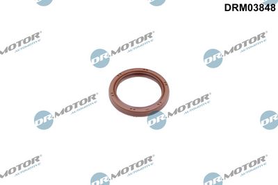 Dr.Motor Automotive Veleno sandariklis, alkūninis velenas