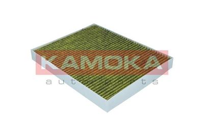 Filter, cabin air 6080031