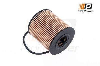 alyvos filtras 1F0005 ProfiPower