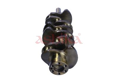 ARBORE COTIT ASHIKA 18MI001 1