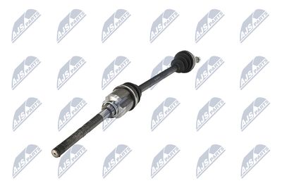 PLANETARA NTY NPWMS086 20