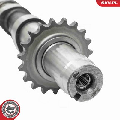 AX CU CAME ESEN SKV 80SKV041 3