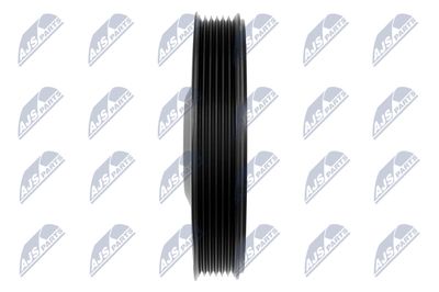 FULIE CUREA ARBORE COTIT NTY RKPAU002 2