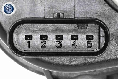 STELLELEMENT DRALLKLAPPEN (SAUGROHR) VEMO V30770104 2