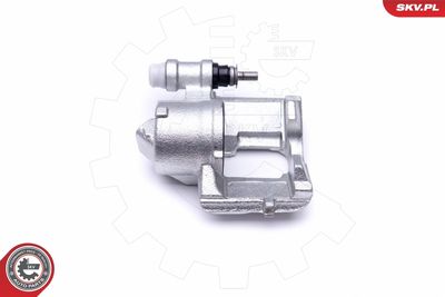 Brake Caliper 46SKV302