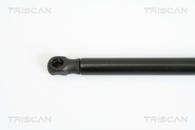AMORTIZOR PORTBAGAJ TRISCAN 871012212 1