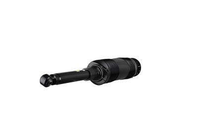 LUFTFEDERBEIN Arnott SK2460 38