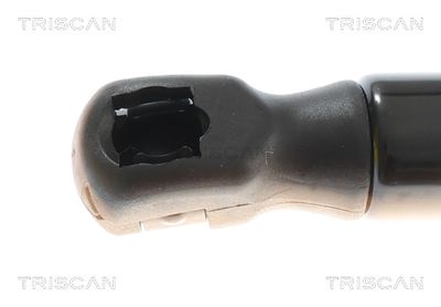 AMORTIZOR PORTBAGAJ TRISCAN 8710292084 1