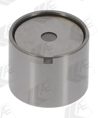 CULBUTOR SUPAPA AE FOL311 1