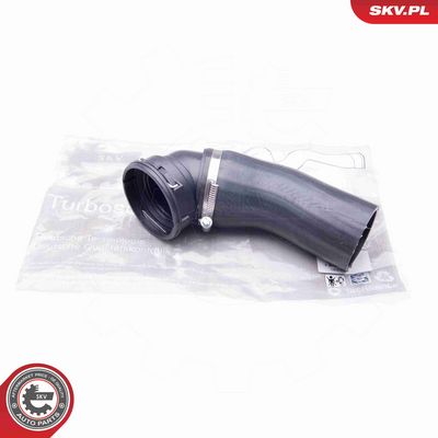 FURTUN EAR SUPRAALIMENTARE