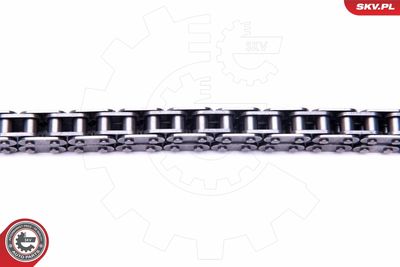 Timing Chain Kit 21SKV132