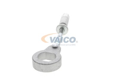 INTINZATOR CUREA TRANSMISIE VAICO V302079 24