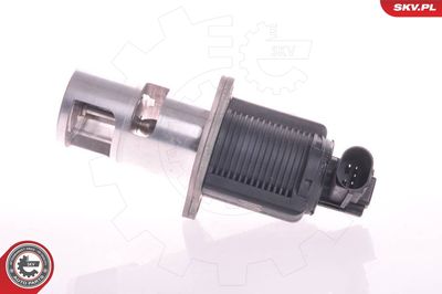 EGR Valve 14SKV011