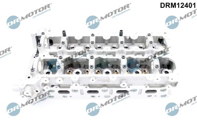 Głowica silnika DR.MOTOR AUTOMOTIVE DRM12401