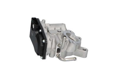 SUPAPA EGR Kavo Parts EEG8003 21