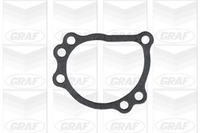 POMPă DE APă RăCIRE MOTOR GRAF PA375 1