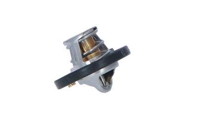 TERMOSTAT LICHID RACIRE NRF 725187 12