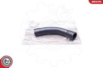 FURTUN EAR SUPRAALIMENTARE