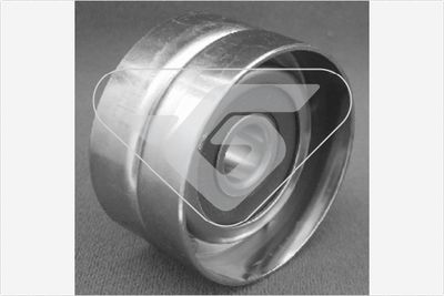 ROLA INTINZATOR CUREA DISTRIBUTIE