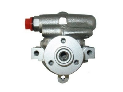 Pump, styrservo SPIDAN 53538