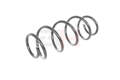 ARC SPIRAL GH GH204306 38