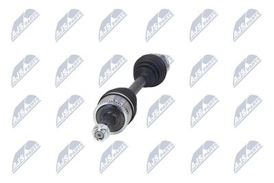 PLANETARA NTY NPWLR041 16