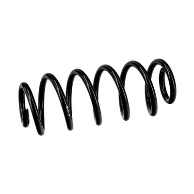 ARC SPIRAL EIBACH R10711 6