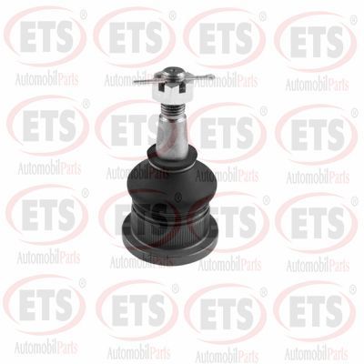 Шарнири ETS 67.BJ.046