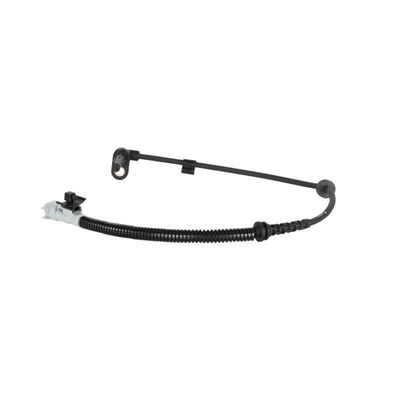 SENZOR TURATIE ROATA DELPHI SS20361 8