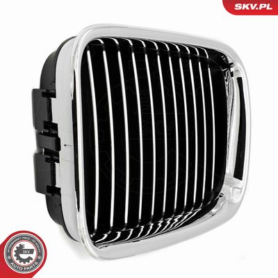 GRILA RADIATOR ESEN SKV 66SKV044 5