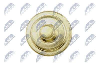 SENZOR TEMPERATURA LICHID DE RACIRE NTY ECTWW000 2